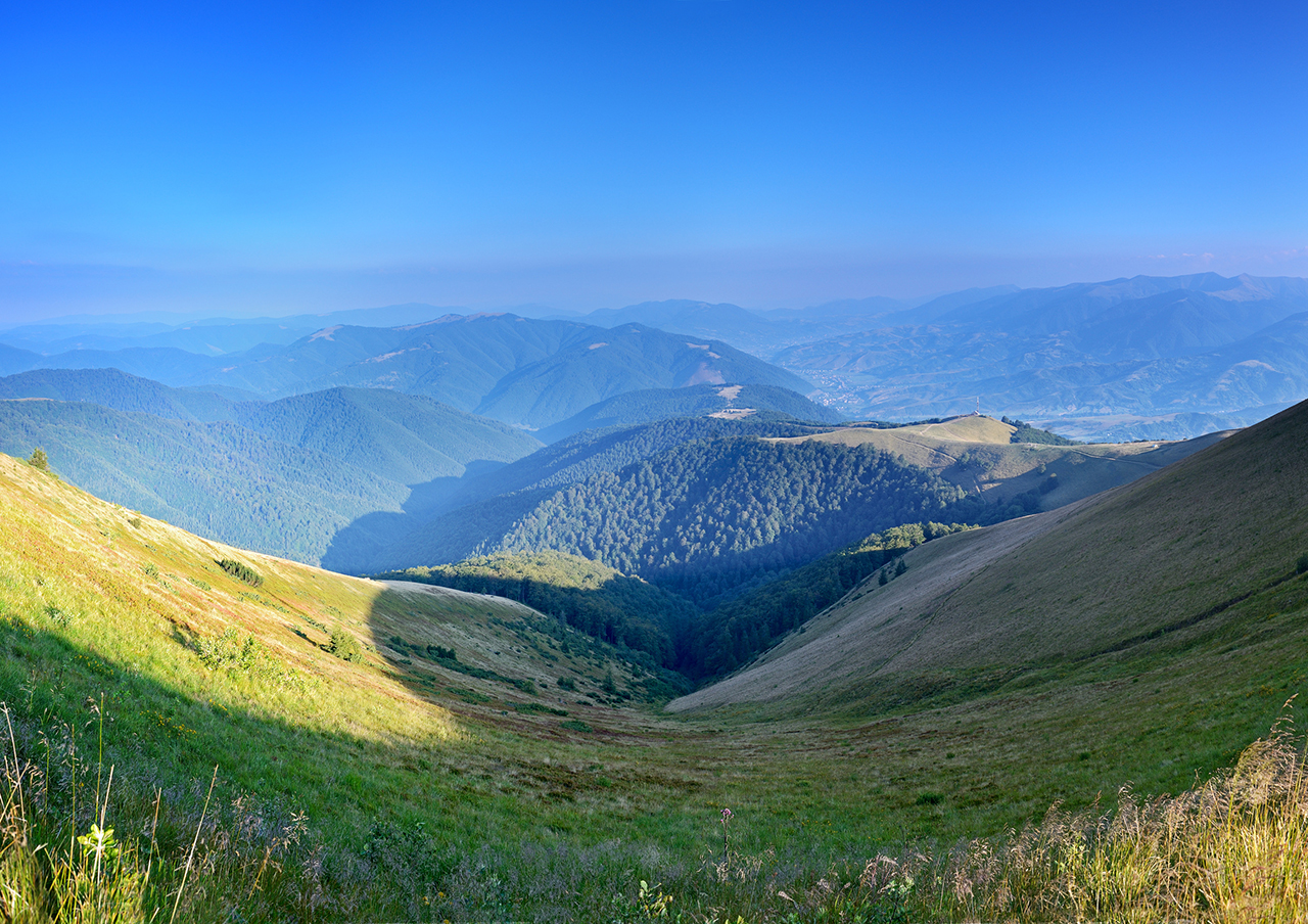 GFA Area PROTECTED AREA MANAGEMENT