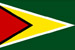Guyana Flag